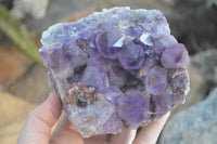 Natural Dark Amethyst Clusters x 3 From Mapatizya, Zambia - Toprock Gemstones and Minerals 