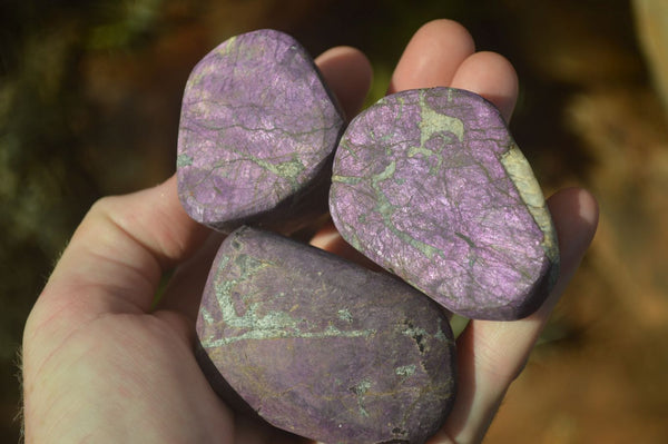 Polished Silky Purpurite Free Forms  x 12 From Namibia - TopRock