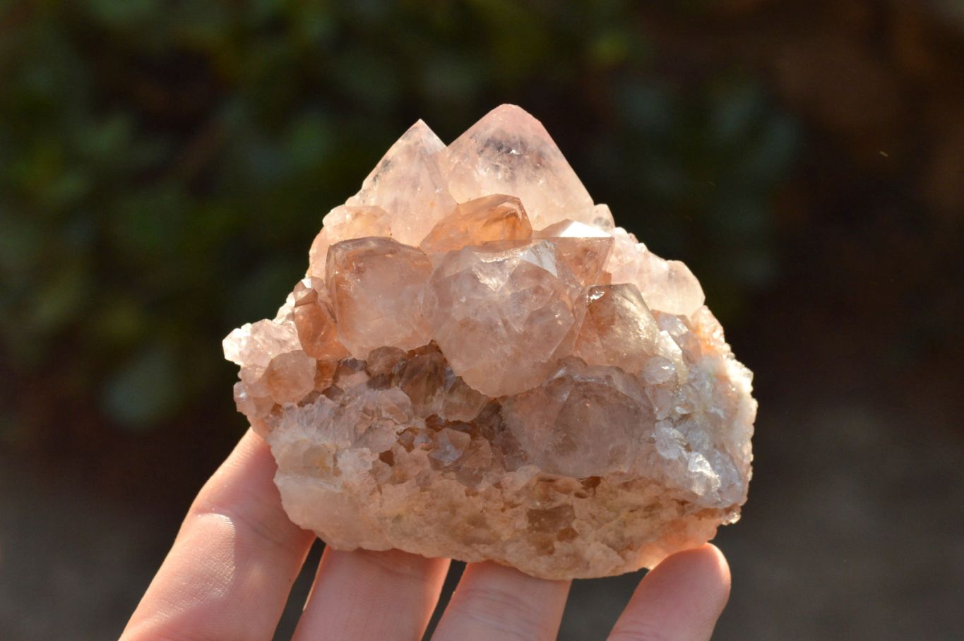 Natural Amethyst Phantom Spirit Quartz Clusters  x 4 From Boekenhouthoek, South Africa - TopRock
