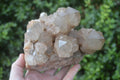 Natural Cascading White Phantom Smokey Quartz Cluster x 1 From Luena, Congo - Toprock Gemstones and Minerals 