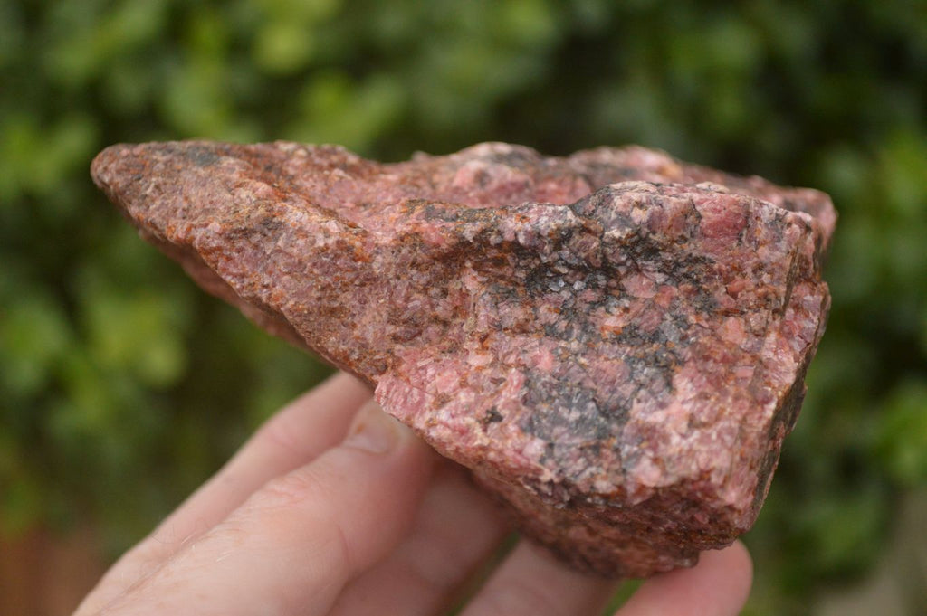 Natural Rough Pink Rhodonite Specimens  x 5 From Zimbabwe - Toprock Gemstones and Minerals 