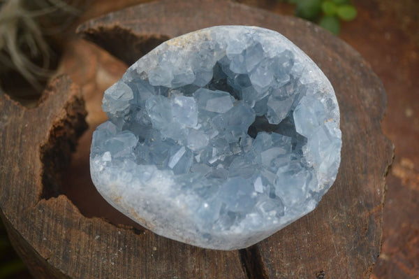 Natural Blue Celestite Geode Specimens  x 2 From Madagascar - Toprock Gemstones and Minerals 