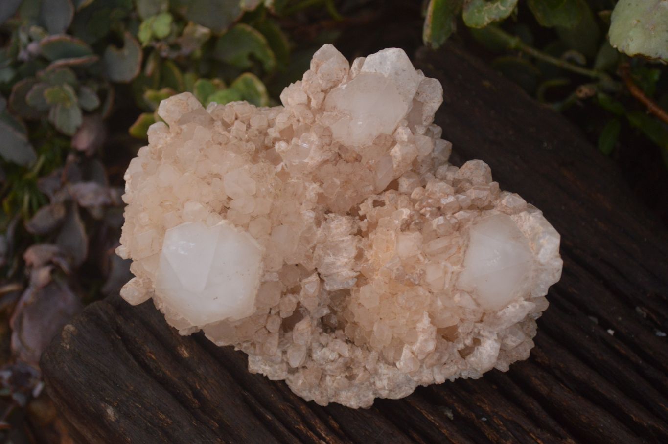 Natural Large Candle Quartz Crystals  x 2 From Madagascar - Toprock Gemstones and Minerals 