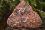 Natural Rough Pink Rhodonite Specimens  x 5 From Zimbabwe - Toprock Gemstones and Minerals 