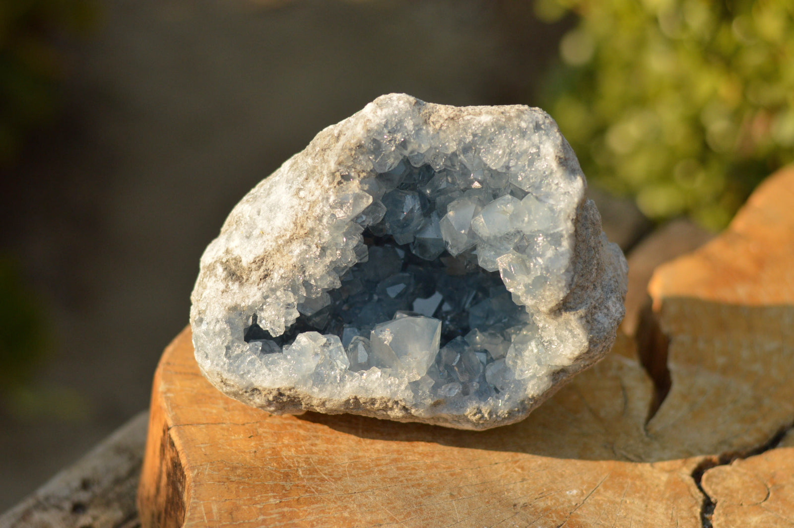 Natural Blue Celestite Geode Specimen With Gemmy Cubic Crystals x