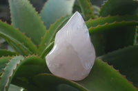 Polished Gemmy Rose Quartz Flames x 3 From Madagascar - Toprock Gemstones and Minerals 