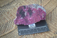 Natural Pink Salrose Cobaltion Dolomite Specimens  x 6 From Kakanda, Congo - Toprock Gemstones and Minerals 