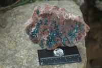 Natural Emerald Dioptase On Red Dolomite Matrix Specimen x 1 From Likasi, Congo