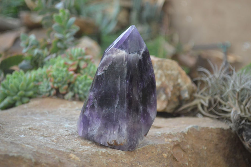 Polished Dream Amethyst Point x 1 From Madagascar - Toprock Gemstones and Minerals 