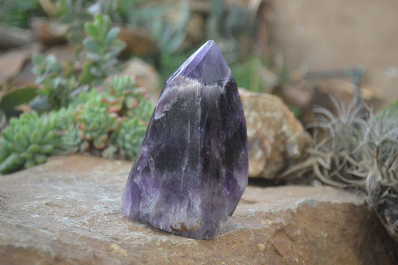 Polished Dream Amethyst Point x 1 From Madagascar - Toprock Gemstones and Minerals 