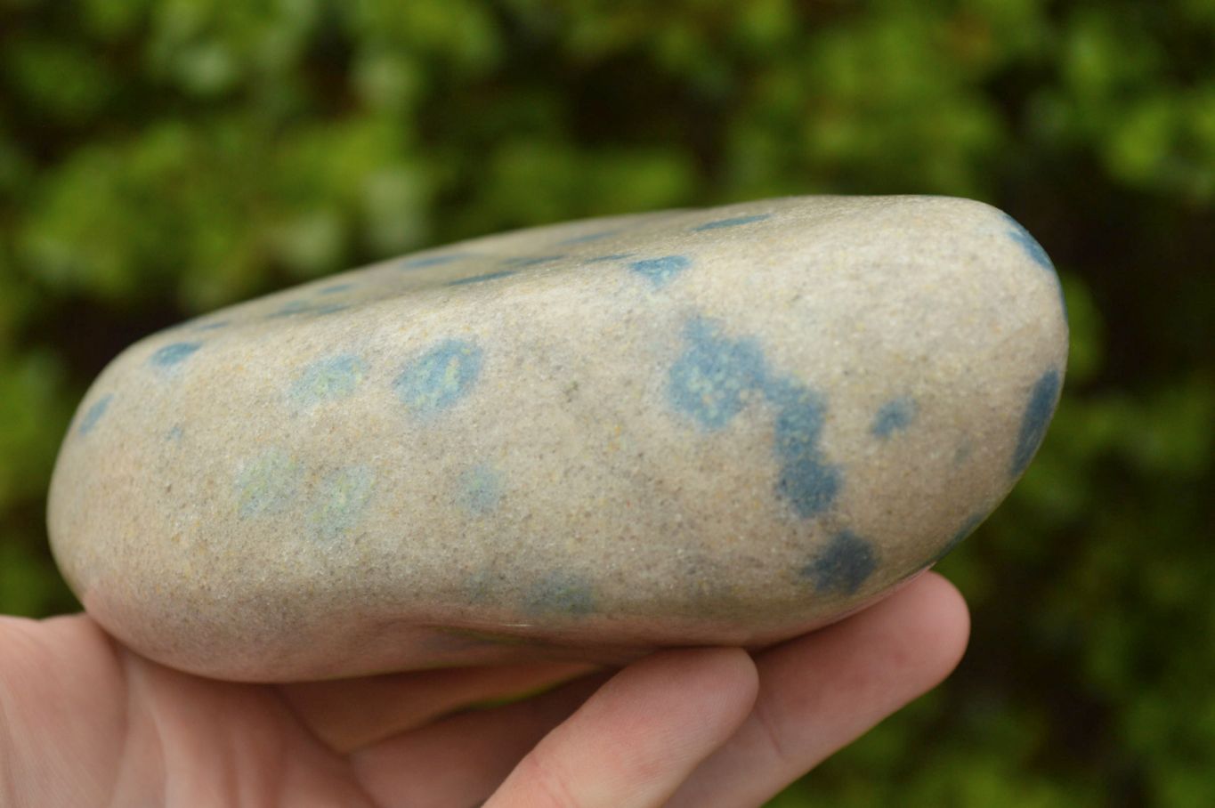 Polished Blue Spotted Spinel Dalmatian Stone Standing Free Form x 1 From Madagascar - TopRock