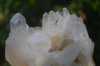 Natural Mixed Quartz Clusters  x 4 From Madagascar - Toprock Gemstones and Minerals 