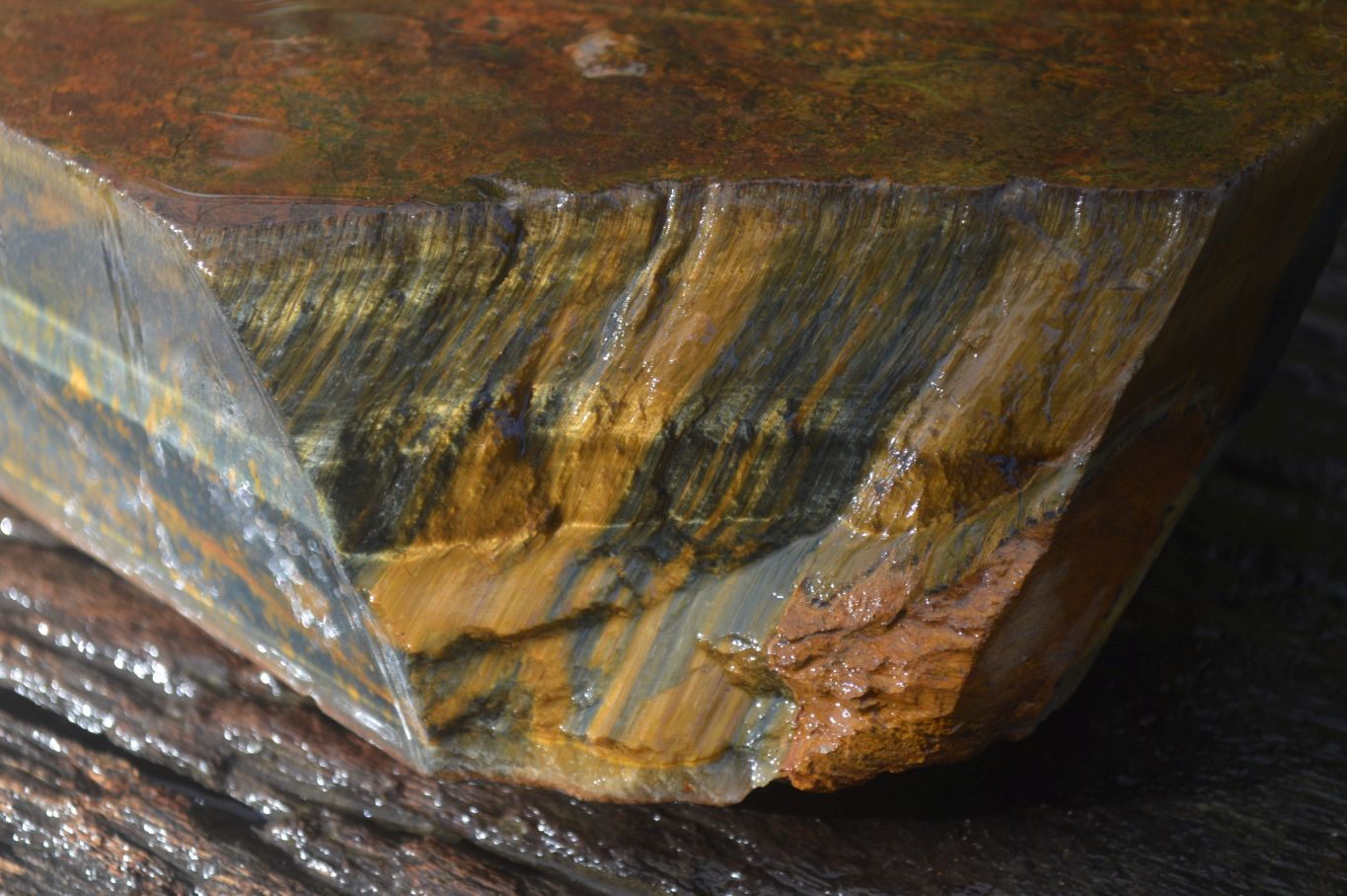 Natural Sliced Tigers Eye Specimen x 1 From Prieska, South Africa - Toprock Gemstones and Minerals 
