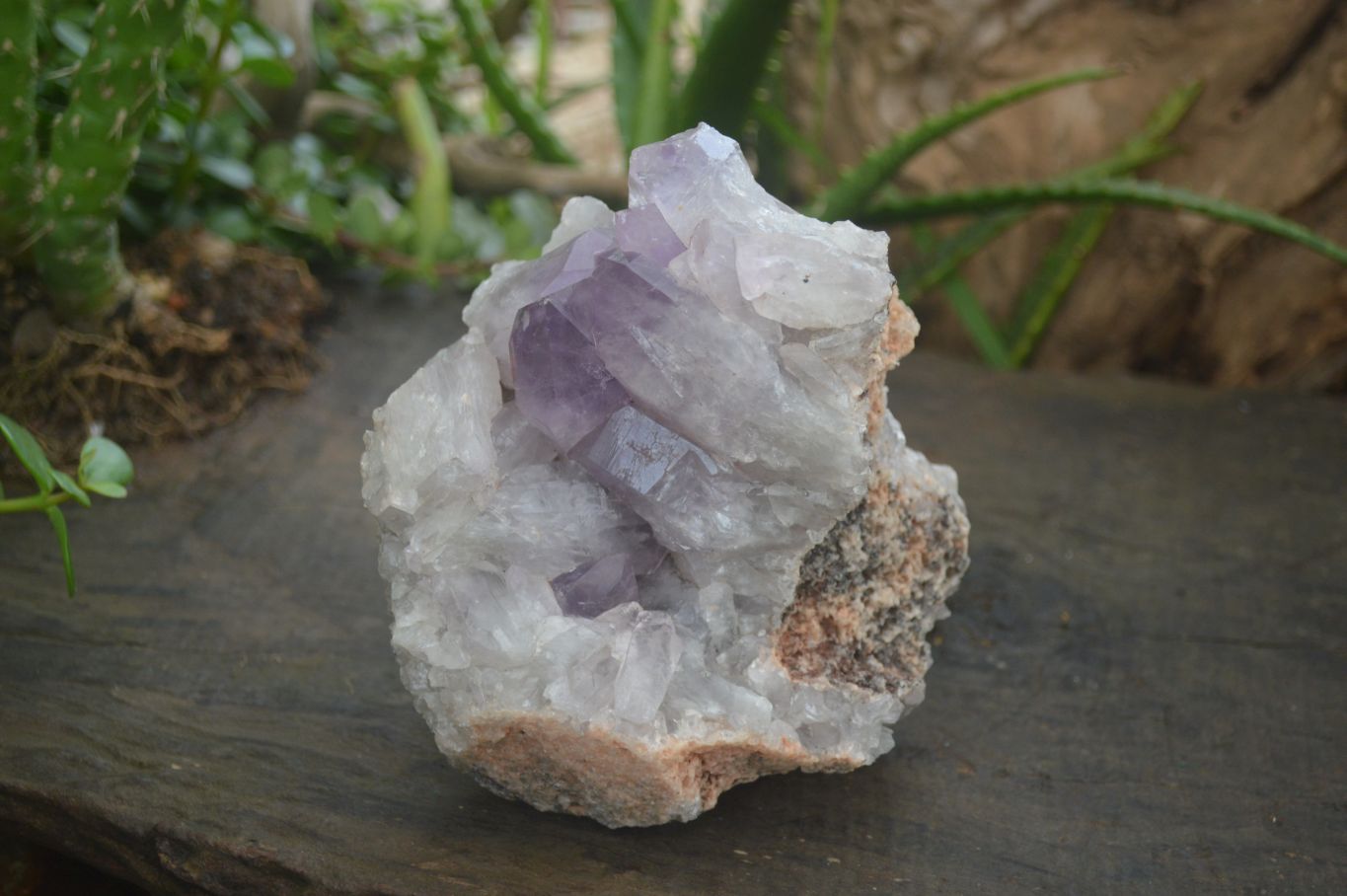 Natural Jacaranda Amethyst Clusters  x 2 From Zambia - Toprock Gemstones and Minerals 