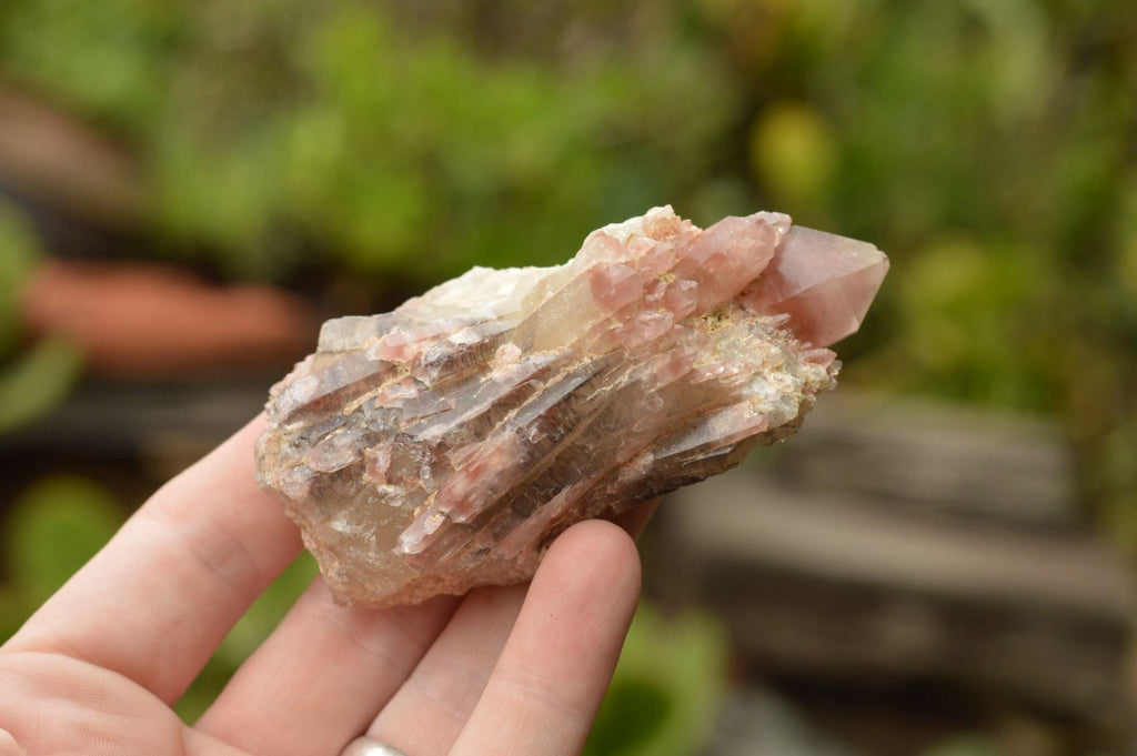 Natural Single Red Hematoid Quartz Crystals  x 6 From Karoi, Zimbabwe - TopRock