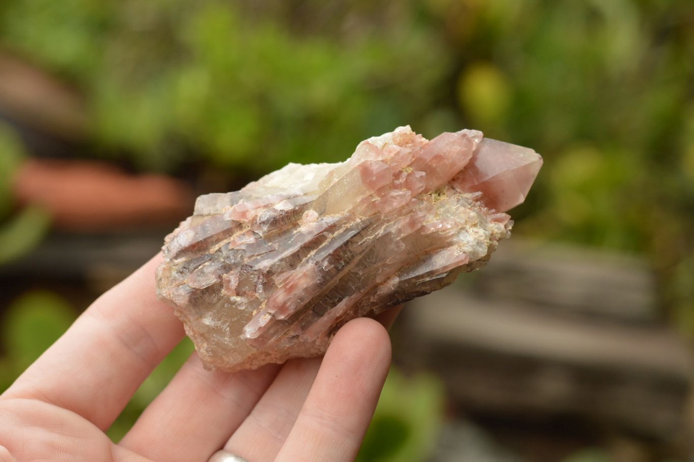 Natural Single Red Hematoid Quartz Crystals  x 6 From Karoi, Zimbabwe - TopRock