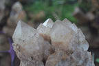 Natural Cascading White Phantom Smokey Quartz Cluster x 1 From Luena, Congo - Toprock Gemstones and Minerals 