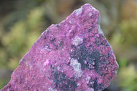 Natural Pink Salrose Cobaltion Dolomite Specimens  x 6 From Kakanda, Congo - Toprock Gemstones and Minerals 
