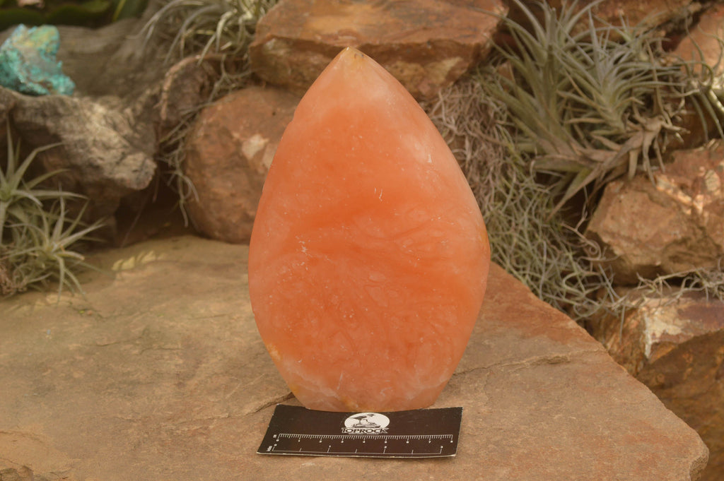 Polished Orange Twist Calcite Standing Leaf Sculptures  x 2 From Madagascar - TopRock