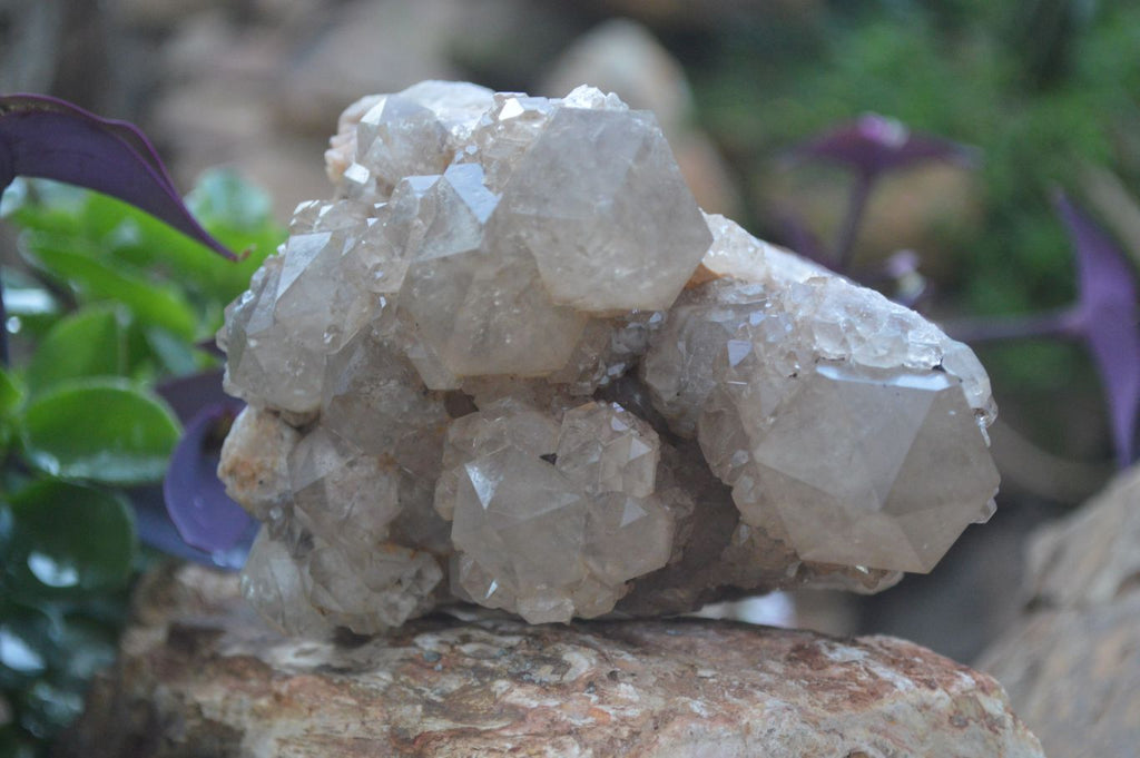 Natural Cascading White Phantom Smokey Quartz Cluster x 1 From Luena, Congo - Toprock Gemstones and Minerals 