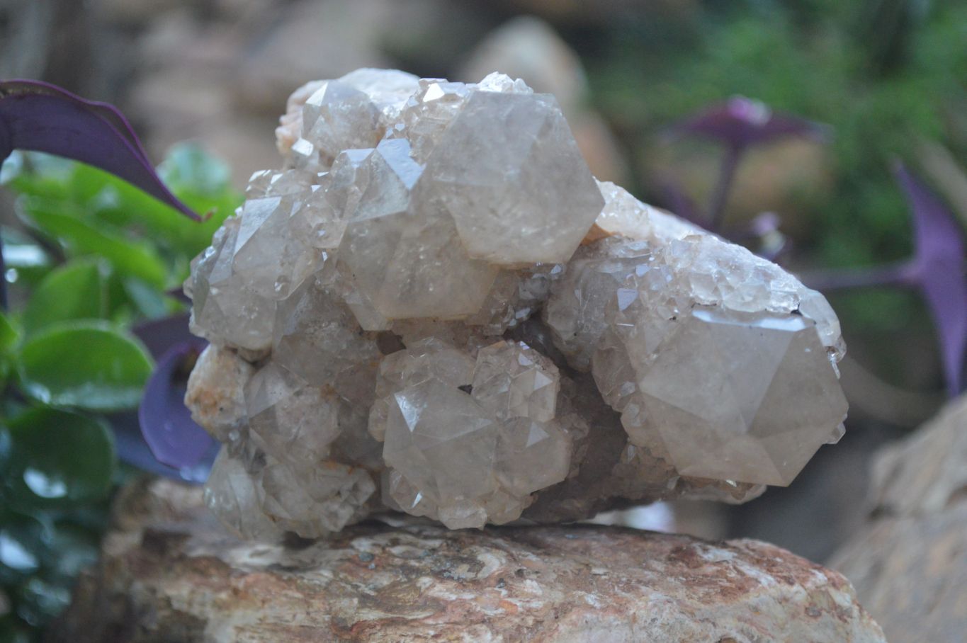 Natural Cascading White Phantom Smokey Quartz Cluster x 1 From Luena, Congo - Toprock Gemstones and Minerals 