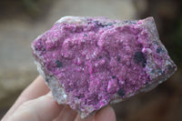 Natural Pink Salrose Cobaltion Dolomite Specimens  x 6 From Kakanda, Congo - Toprock Gemstones and Minerals 