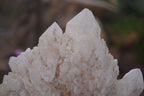 Natural Large Candle Quartz Crystals  x 2 From Madagascar - Toprock Gemstones and Minerals 