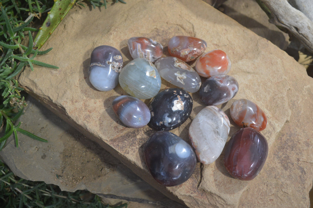 Polished River Agate Palm Stones  x 16 From Sashe River, Zimbabwe - Toprock Gemstones and Minerals 