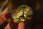 Polished  Flashy Labradorite Palm Stones  x 20 From Tulear, Madagascar - Toprock Gemstones and Minerals 