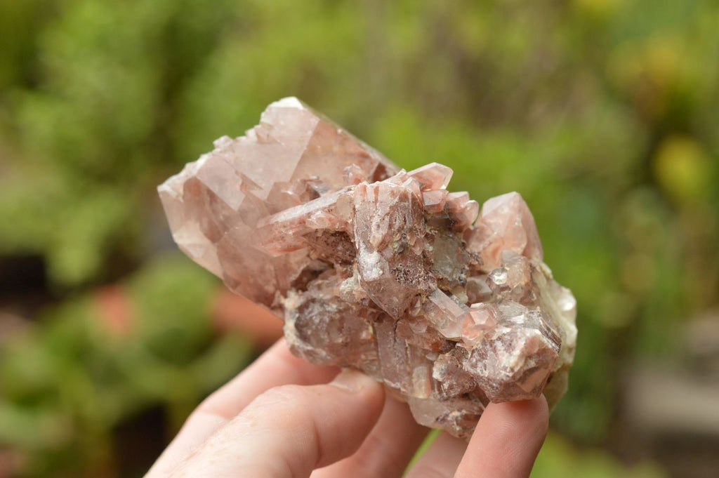 Natural Single Red Hematoid Quartz Crystals  x 6 From Karoi, Zimbabwe - TopRock