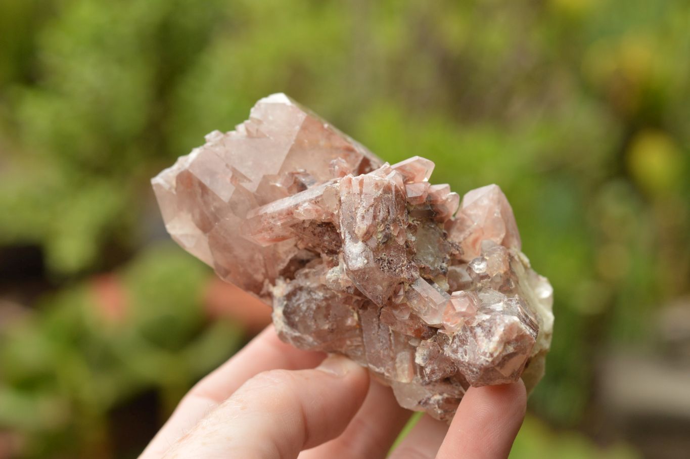 Natural Single Red Hematoid Quartz Crystals  x 6 From Karoi, Zimbabwe - TopRock