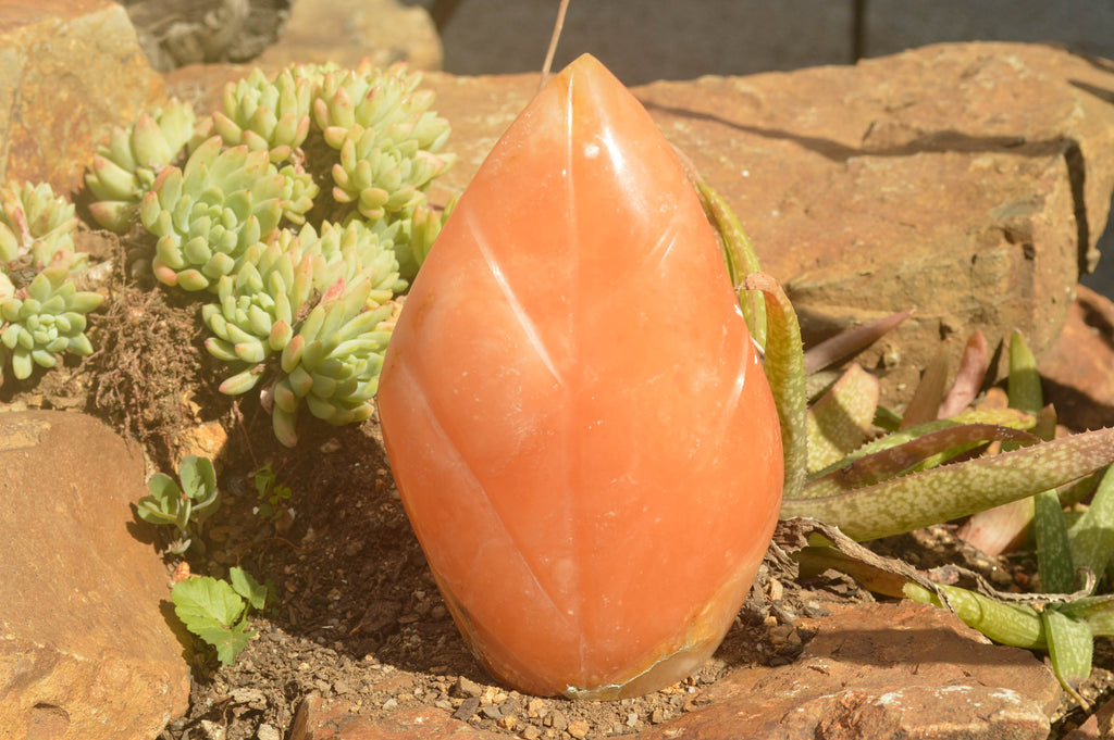 Polished Orange Twist Calcite Standing Leaf Sculptures  x 2 From Madagascar - TopRock