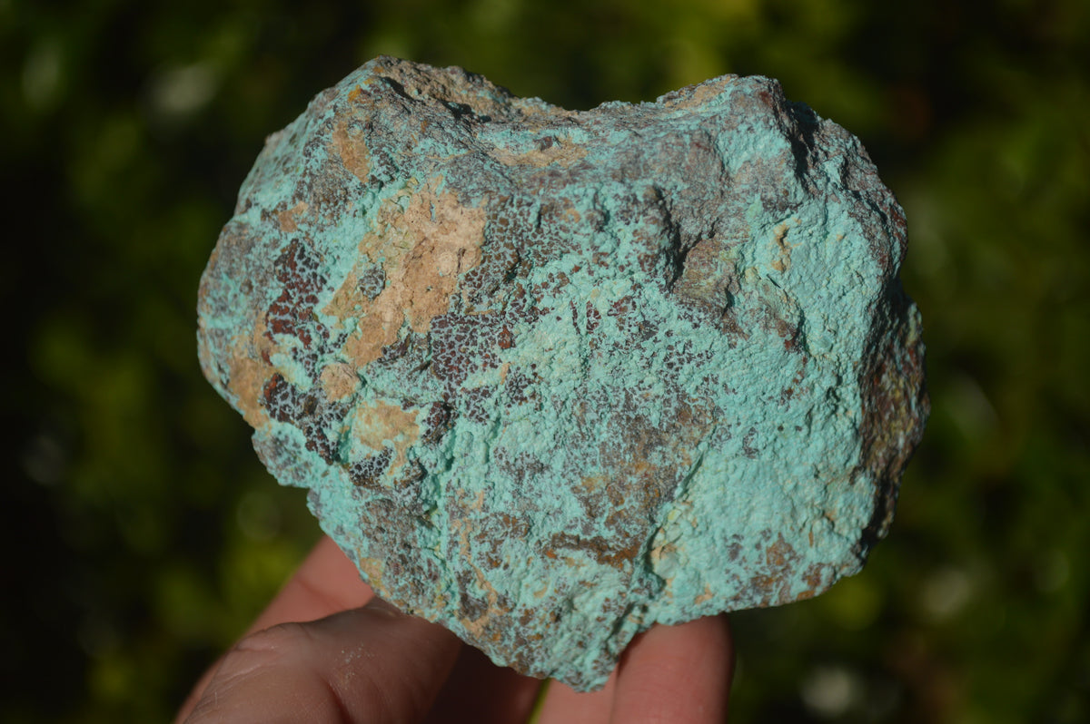 Natural Rough Shattuckite Cobbed Specimens x 12 From Kaokoveld, Namibia - Toprock Gemstones and Minerals 
