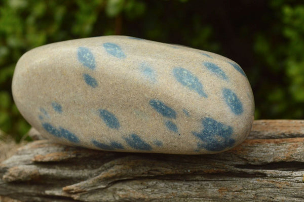 Polished Blue Spotted Spinel Dalmatian Stone Standing Free Form x 1 From Madagascar - TopRock