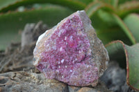 Natural Pink Salrose Cobaltion Dolomite Specimens  x 6 From Kakanda, Congo - Toprock Gemstones and Minerals 