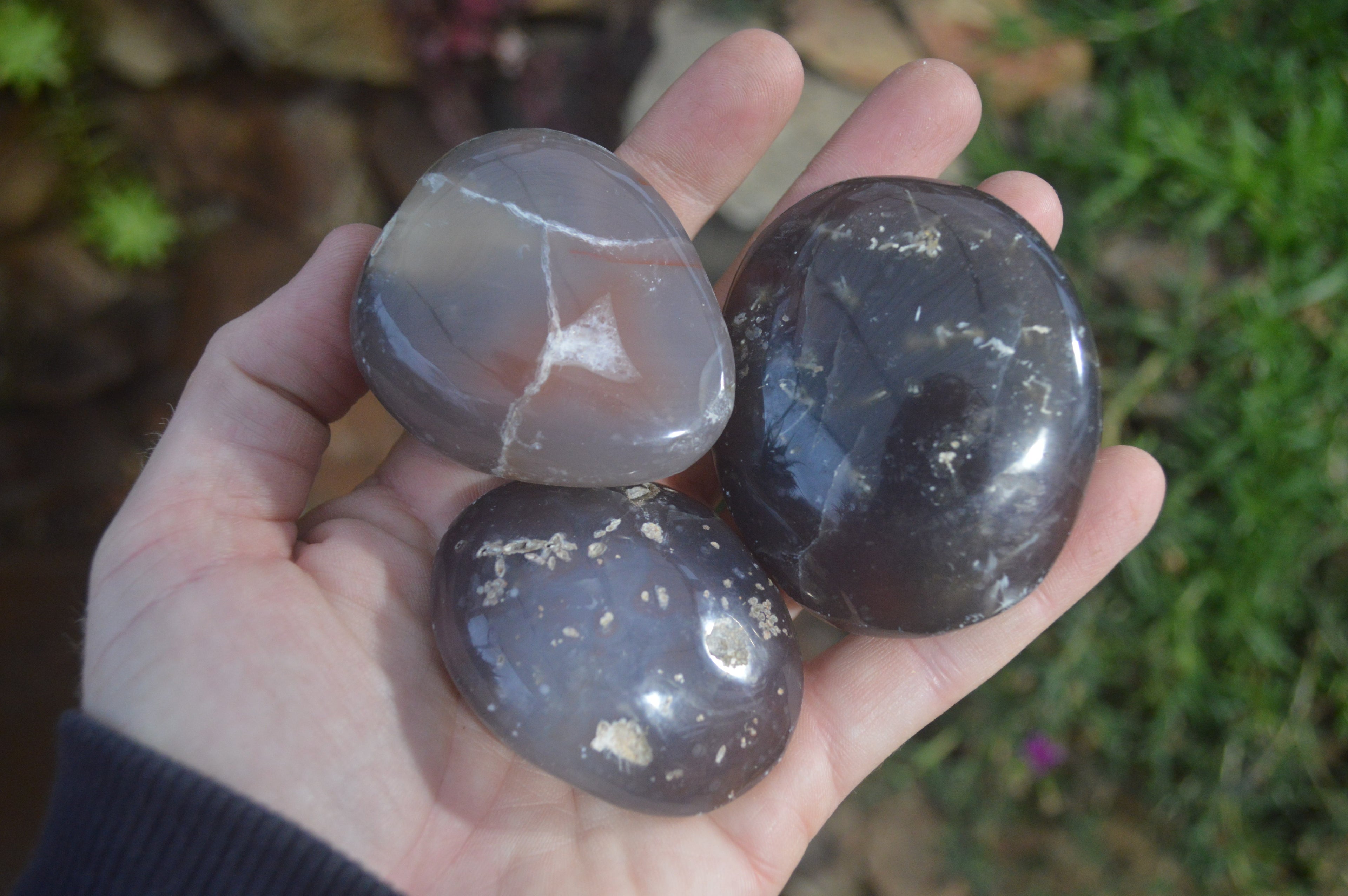 Polished River Agate Palm Stones  x 16 From Sashe River, Zimbabwe - Toprock Gemstones and Minerals 
