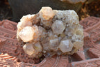 Natural Amethyst Phantom Spirit Quartz Clusters  x 4 From Boekenhouthoek, South Africa - TopRock