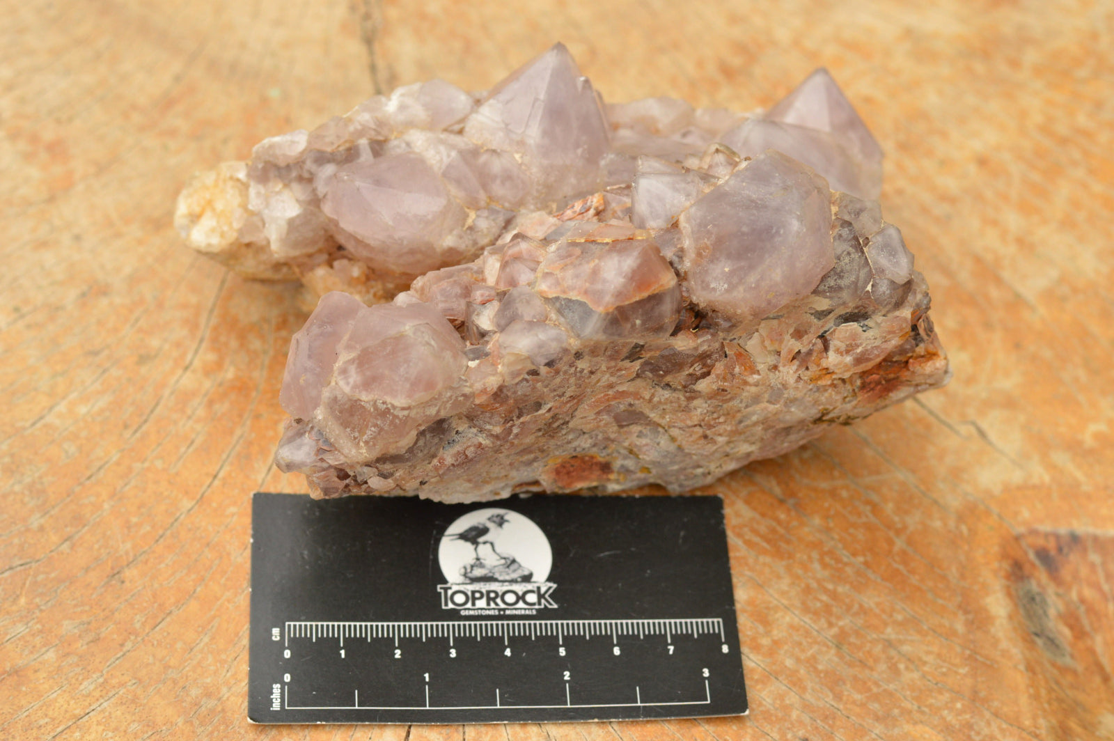 Natural Amethyst Cactus Quartz Clusters  x 5 From Boekenhouthoek, South Africa - TopRock