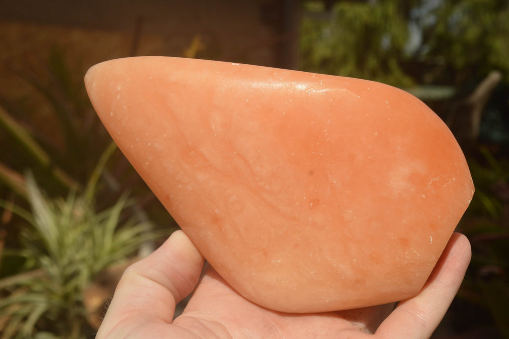 Polished Orange Twist Calcite Standing Leaf Sculptures  x 2 From Madagascar - TopRock