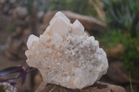 Natural Large Candle Quartz Crystals  x 2 From Madagascar - Toprock Gemstones and Minerals 