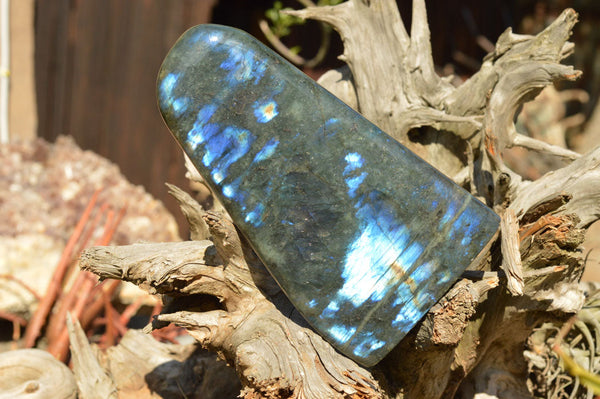 Polished Labradorite Standing Free Form With Deep Blue Flash x 1 From Sakoany, Madagascar - TopRock