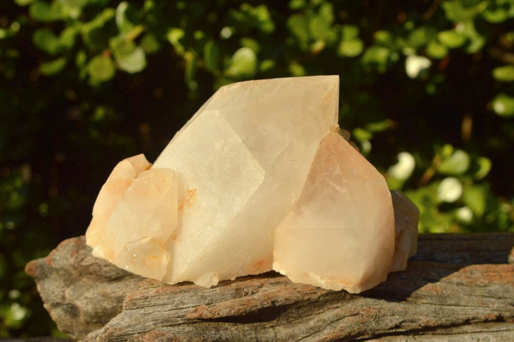 Natural Golden Iron Candle Quartz Clusters x 6 From Madagascar - TopRock