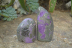Polished Stichtite & Serpentine Standing Free Forms x 3 From Barberton, South Africa - Toprock Gemstones and Minerals 