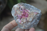 Natural Pink Salrose Cobaltion Dolomite Specimens  x 6 From Kakanda, Congo - Toprock Gemstones and Minerals 