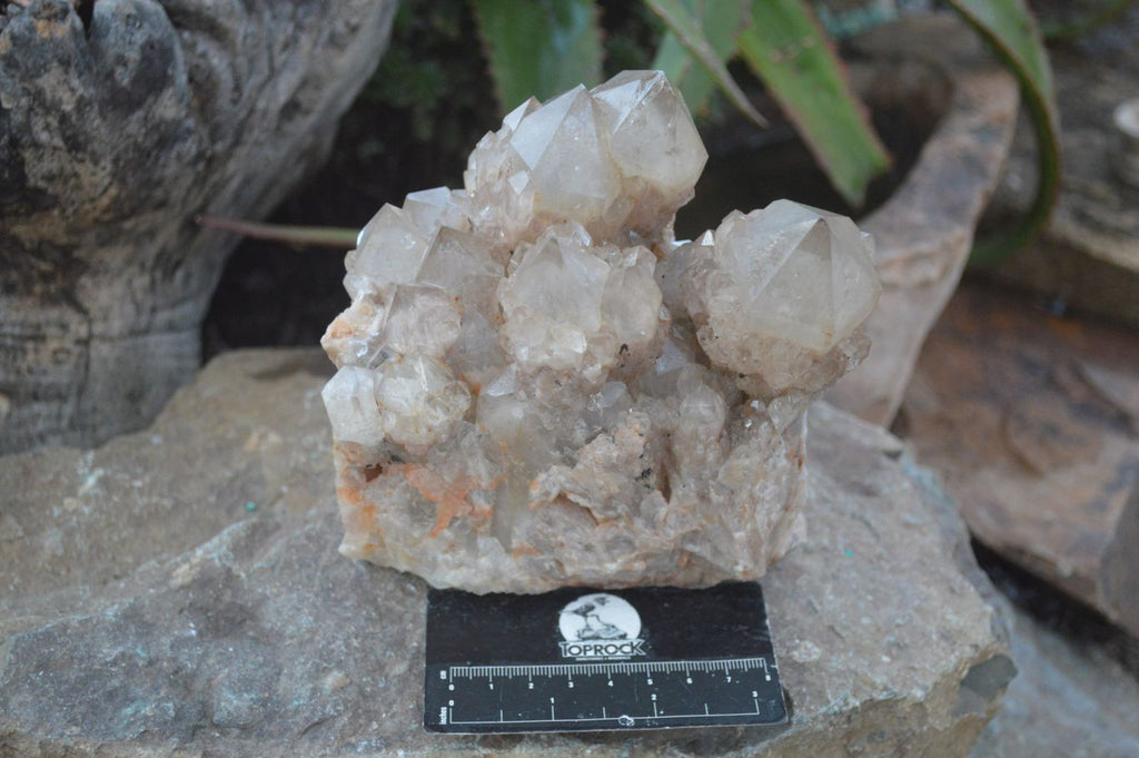 Natural Cascading White Phantom Smokey Quartz Cluster x 1 From Luena, Congo - Toprock Gemstones and Minerals 