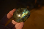 Polished  Flashy Labradorite Palm Stones  x 20 From Tulear, Madagascar - Toprock Gemstones and Minerals 