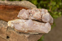 Natural Amethyst Cactus Quartz Clusters  x 5 From Boekenhouthoek, South Africa - TopRock