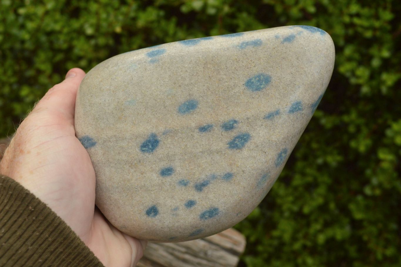 Polished Blue Spotted Spinel Dalmatian Stone Standing Free Form x 1 From Madagascar - TopRock