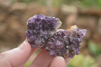 Natural Small Dark "Amethystos" Amethyst Clusters x 70 From Kwaggafontein, South Africa - TopRock