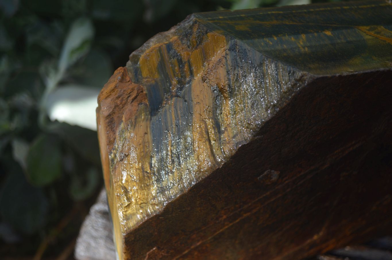 Natural Sliced Tigers Eye Specimen x 1 From Prieska, South Africa - Toprock Gemstones and Minerals 